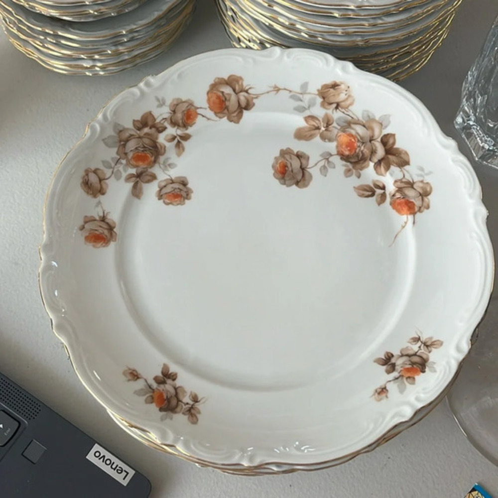 Vintage Bundle of 8 pcs Dinner plates Norway Rose by MITTERTEICH